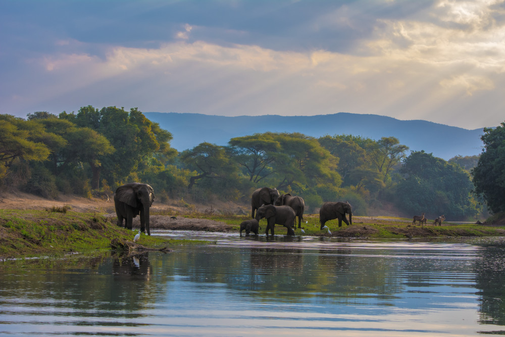 Zambia off the Beaten Track Safari