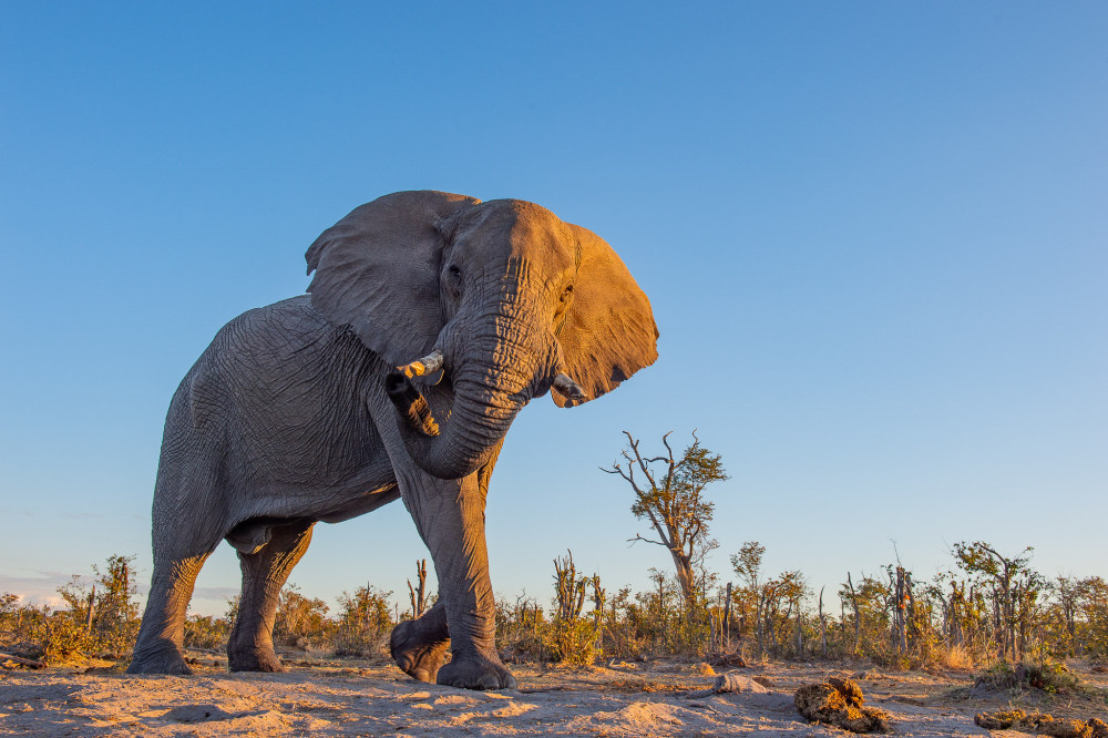 Kruger National Park & Panorama Safari