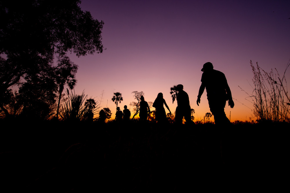 Botswana Wildside - Maun Departure