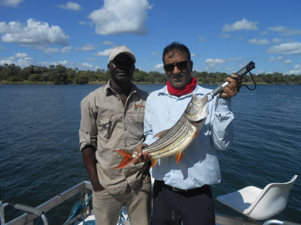 Chobe Land Safari-Tigerfishing-Quadripoint Tour