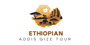 Addis Gize Tour