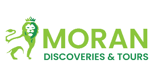 Moran Discoveries & Tours
