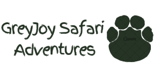 Grey Joy Safari Adventures