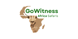 Gowitness Africa Safari  Logo