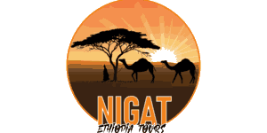 Nigat Ethiopia Tours Logo