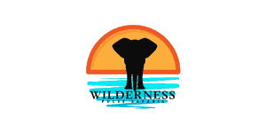 Wilderness Pulse Safaris