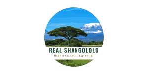 Real Shangololo Logo