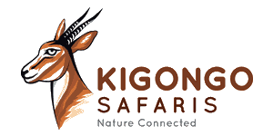 Kigongo Safaris