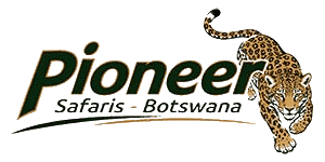 Pioneer Safaris Tours