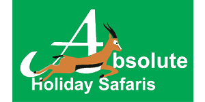 Absolute Holiday Safaris 