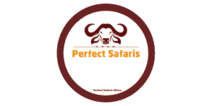 Perfect Safaris Africa