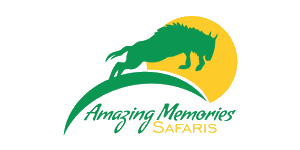 Amazing Memories Safaris