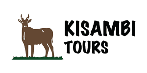 Kisambi Tours