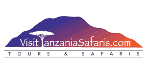 Visit Tanzania Tours & Safaris
