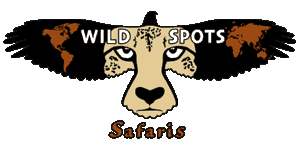 Wild Spots Safaris Logo