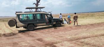 Tall Masai Safari Photo