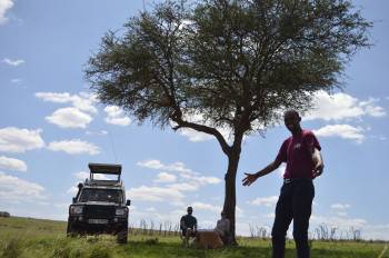 Tazama Africa Holidays Photo