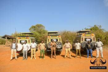 Kenya Bush Tracks Safaris