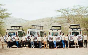 Wildebeest Footsteps Adventures Photo