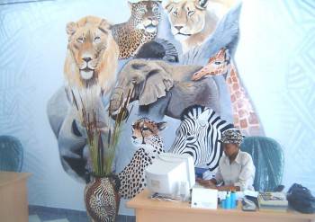 Safaris Online Photo