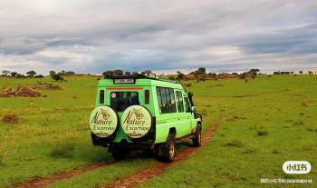 The Safari Vehicle